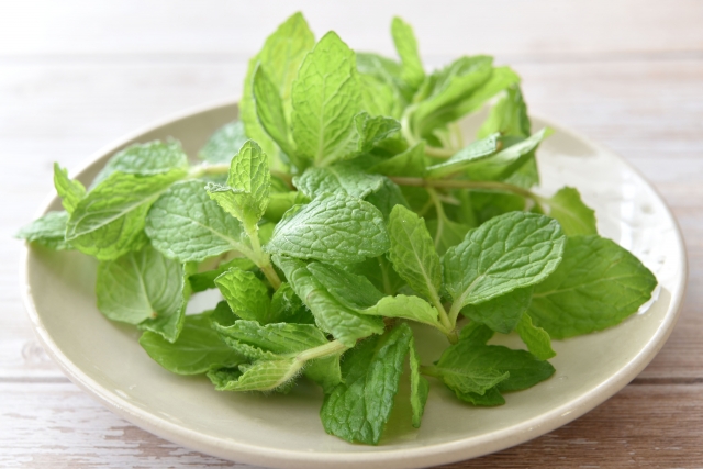 憂鬱で不安な気持ちはミントでスッキリ