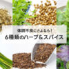 梅雨の体調不良にさよなら！6種類のハーブ＆スパイスのパワーで健康を取り戻そう！